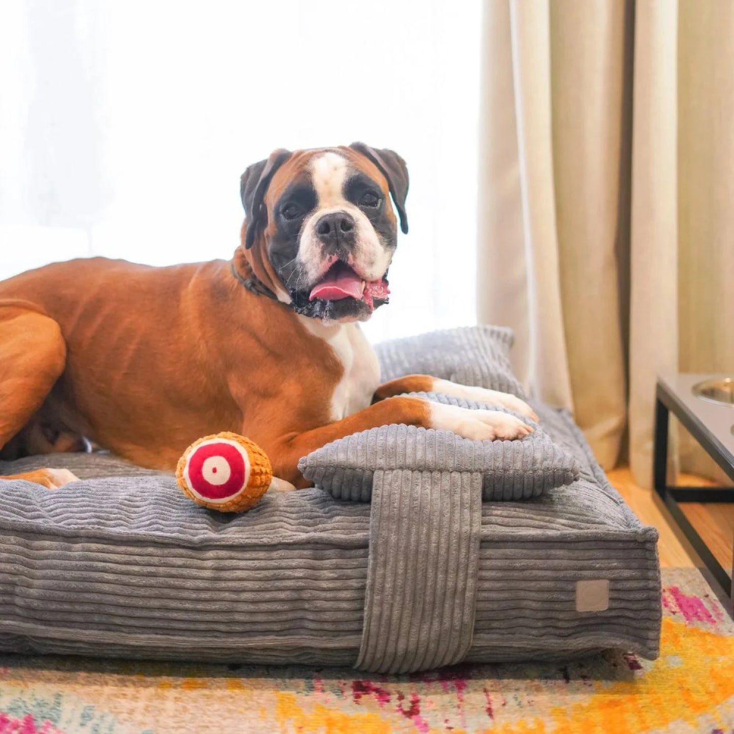Cama para perro con almohada 100x70 cm