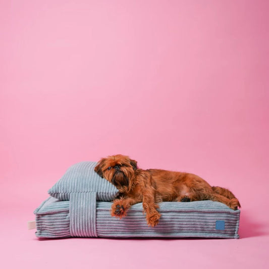 Cama para perro con almohada 80x60 cm