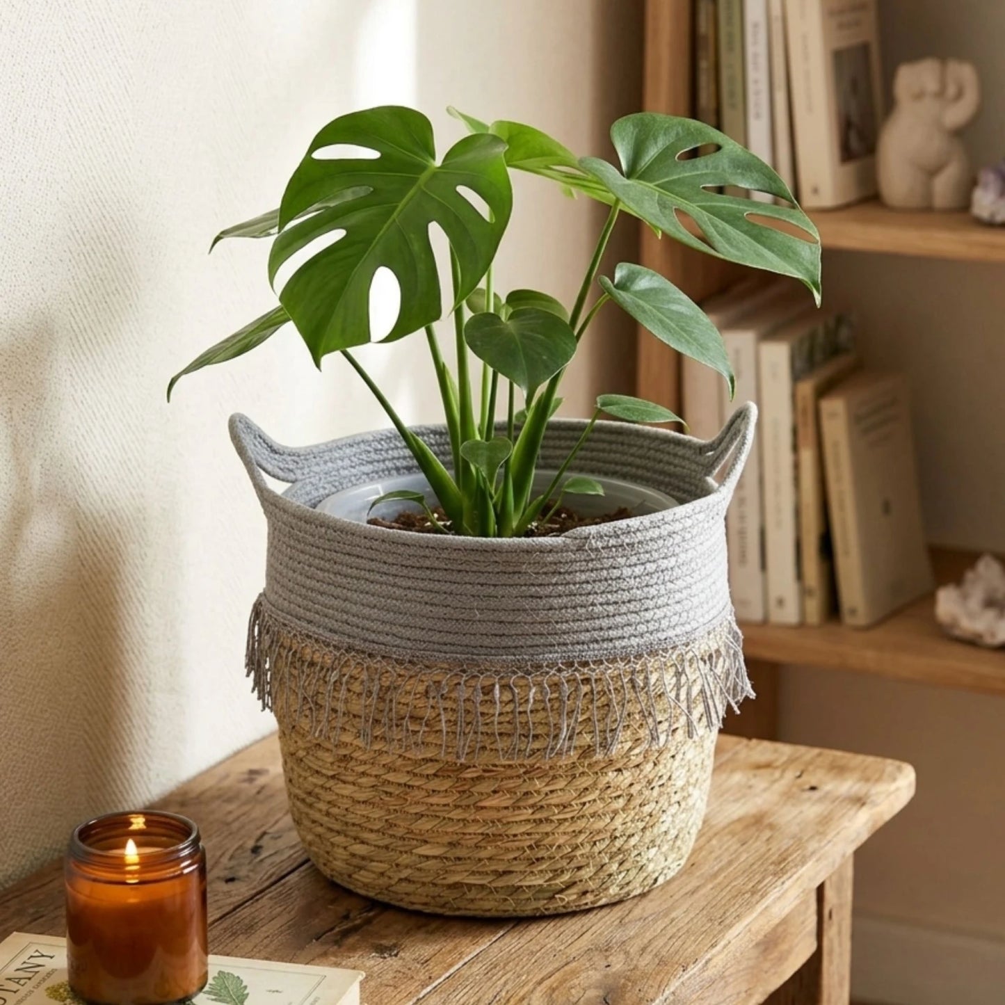 Canasto Seagrass 25 cm - Gris