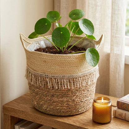 Canasto Seagrass 28 cm - Gris
