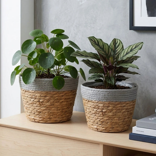Set de 2 macetas Seagrass - Gris