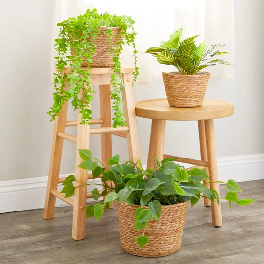 Set de 3 canastos Seagrass - Marron