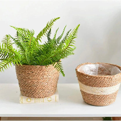 Set de 3 canastos Seagrass - Marron