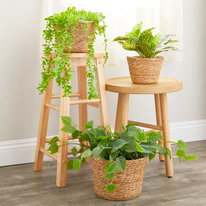 Set de 3 canastos Seagrass - Marron