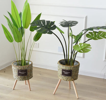 Set de 3 macetas Maldivas - Verde